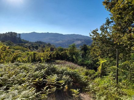 777m² Land in Amarante, Portugal No. 51261