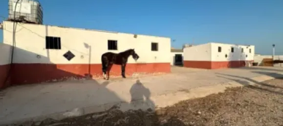 Grundstück in Avileses, Spain, Nr. 173629 11