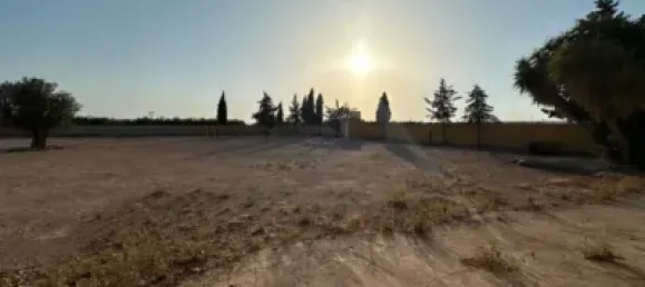 Grundstück in Avileses, Spain, Nr. 173629 19