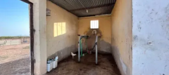 Grundstück in Avileses, Spain, Nr. 173629 8