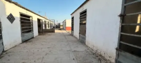 Grundstück in Avileses, Spain, Nr. 173629 6