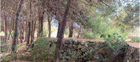 15 rooms Villa in Castrignano del Capo, Italy No. 181285 4