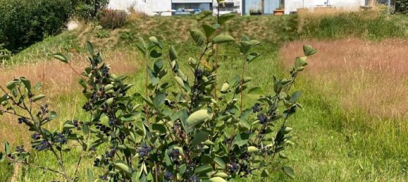 Дом с 4 спальнями в Фогельсберг, Германия № 232080 2