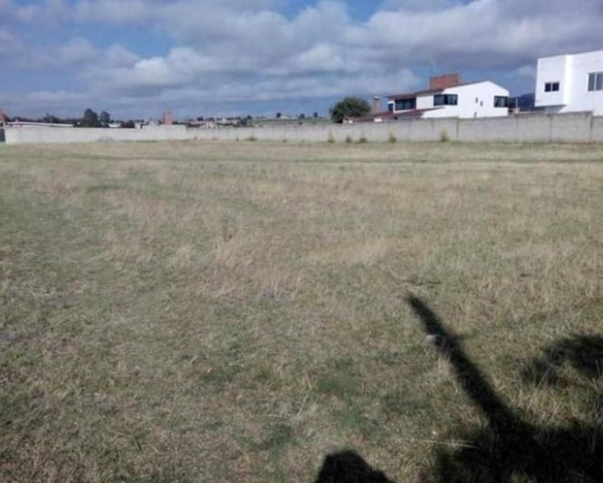  Land in San Buenaventura, Mexico No. 205313