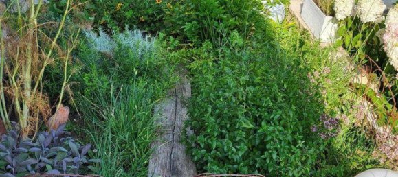 9-Zimmer Haus in Ostermiething, Austria, Nr. 251060 13