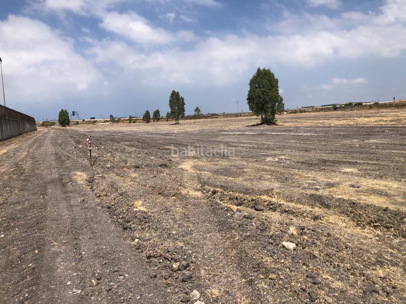 Grundstück in Sanlucar de Barrameda, Spain 10224m², Nr. 258044