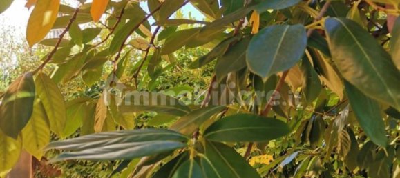 2 bedrooms Villa in Poggibonsi, Italy No. 203292 5