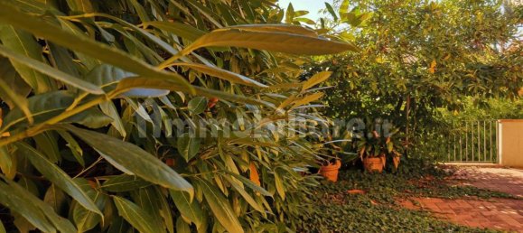 2 bedrooms Villa in Poggibonsi, Italy No. 203292 7