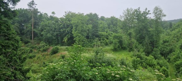 5غرفة منزل في Langenlois, Austria رقم 170268 9