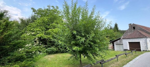 5غرفة منزل في Langenlois, Austria رقم 170268 3