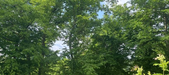 5غرفة منزل في Langenlois, Austria رقم 170268 11