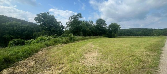 5غرفة منزل في Langenlois, Austria رقم 170268 14