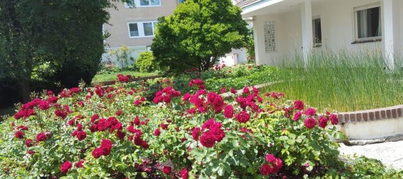 7 rooms Villa in Kassel, Germany No. 333088 10