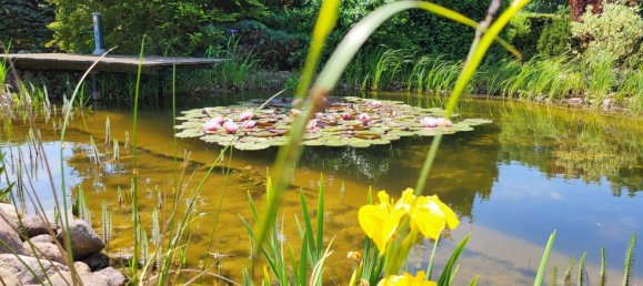 Bungalow T1 em Uckermark, Germany N.º 218383 9