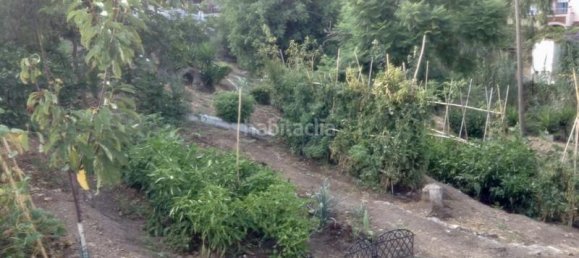 5 chambres Maison à Benajarafe, Spain No. 144248 8