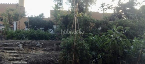 5 chambres Maison à Benajarafe, Spain No. 144248 17