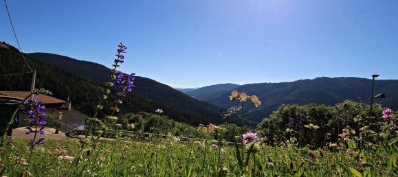 2-Zimmer Haus in Valfloriana, Italy, Nr. 74133 3