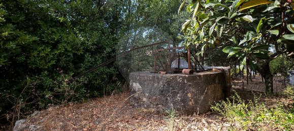 4 bedrooms House in Torres Novas, Portugal No. 30140 18