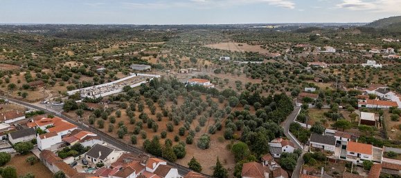 4 bedrooms House in Torres Novas, Portugal No. 30140 3