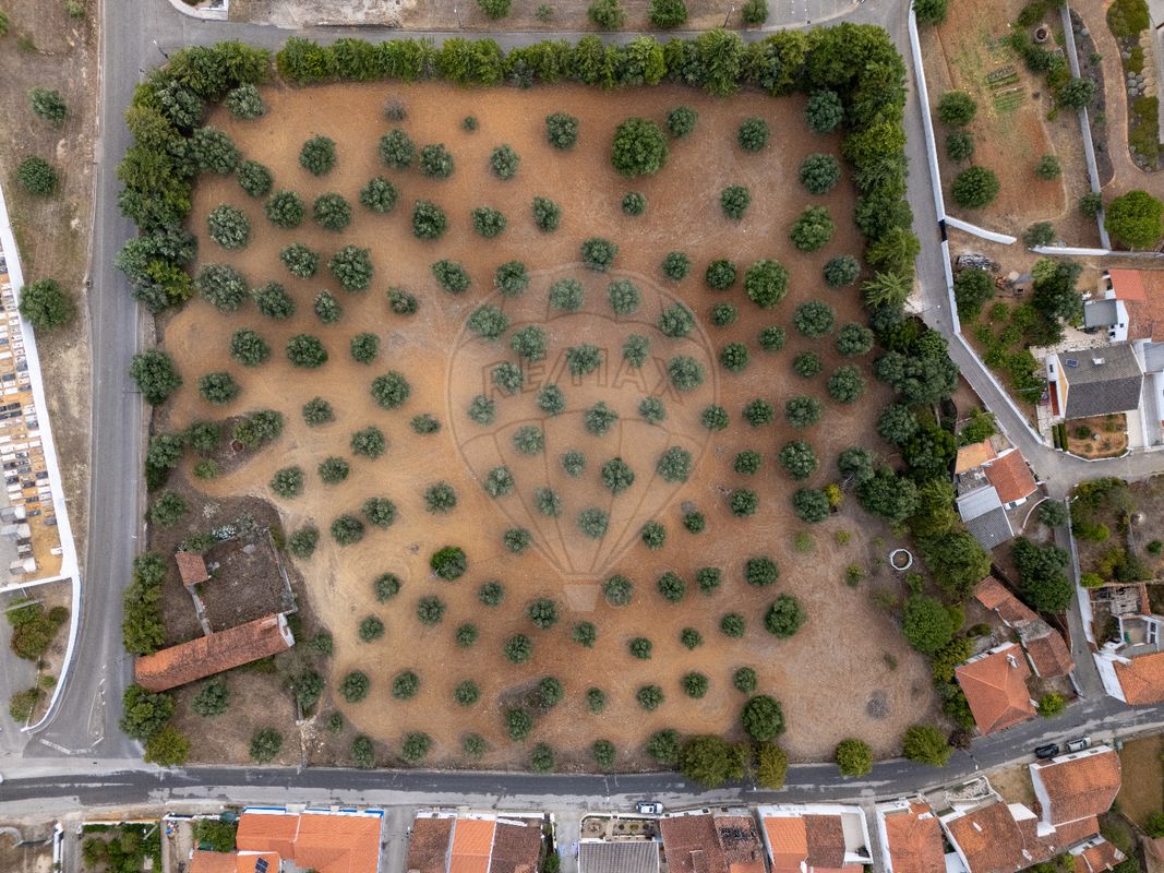 4 bedrooms House in Torres Novas, Portugal No. 30140