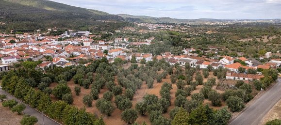 4 bedrooms House in Torres Novas, Portugal No. 30140 5