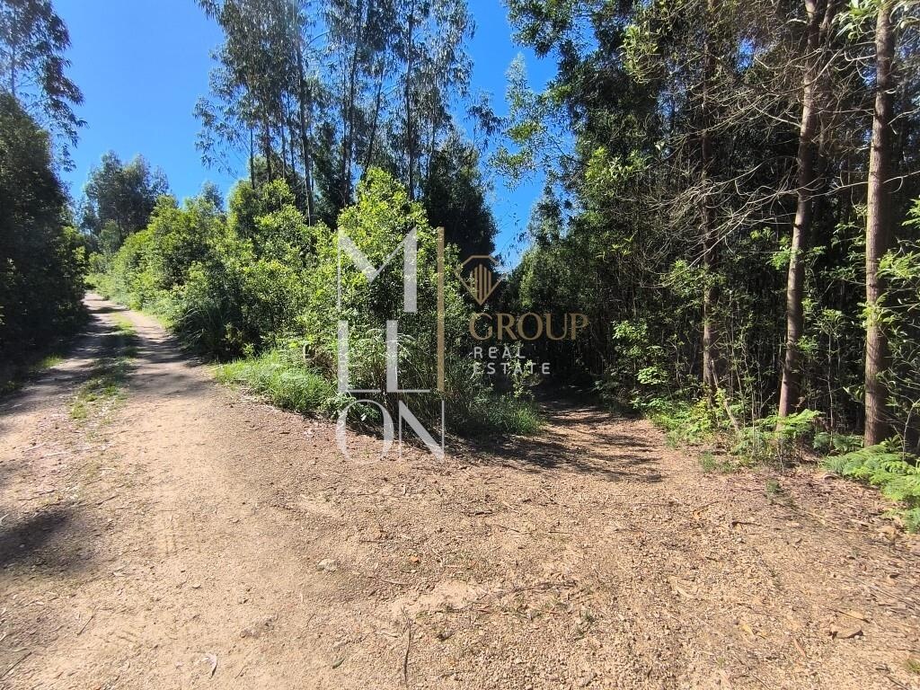  Land in Vila Nova de Gaia, Portugal No. 51182