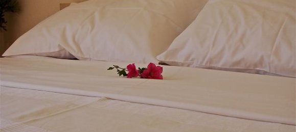 Stadthaus in Chalkidiki, Greece 225m², Nr. 7771 20