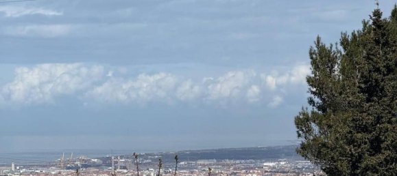 3 rooms House in Livorno, Italy No. 26061 20