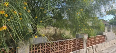 Земельный участок в Кунит, Испания № 218048