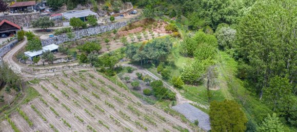 3 chambres Maison à Felgueiras, Portugal No. 34960 41