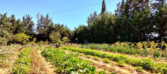 2 غرف نوم فيلا في Salemi, Italy رقم 264781 20