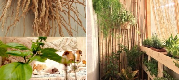 2 chambres Maison de ville à Mahon, Spain No. 5541 19