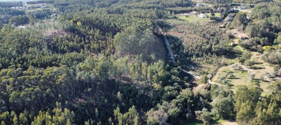 Terreno en Igreja Nova do Sobral, Portugal 9520 m² No. 69039 5