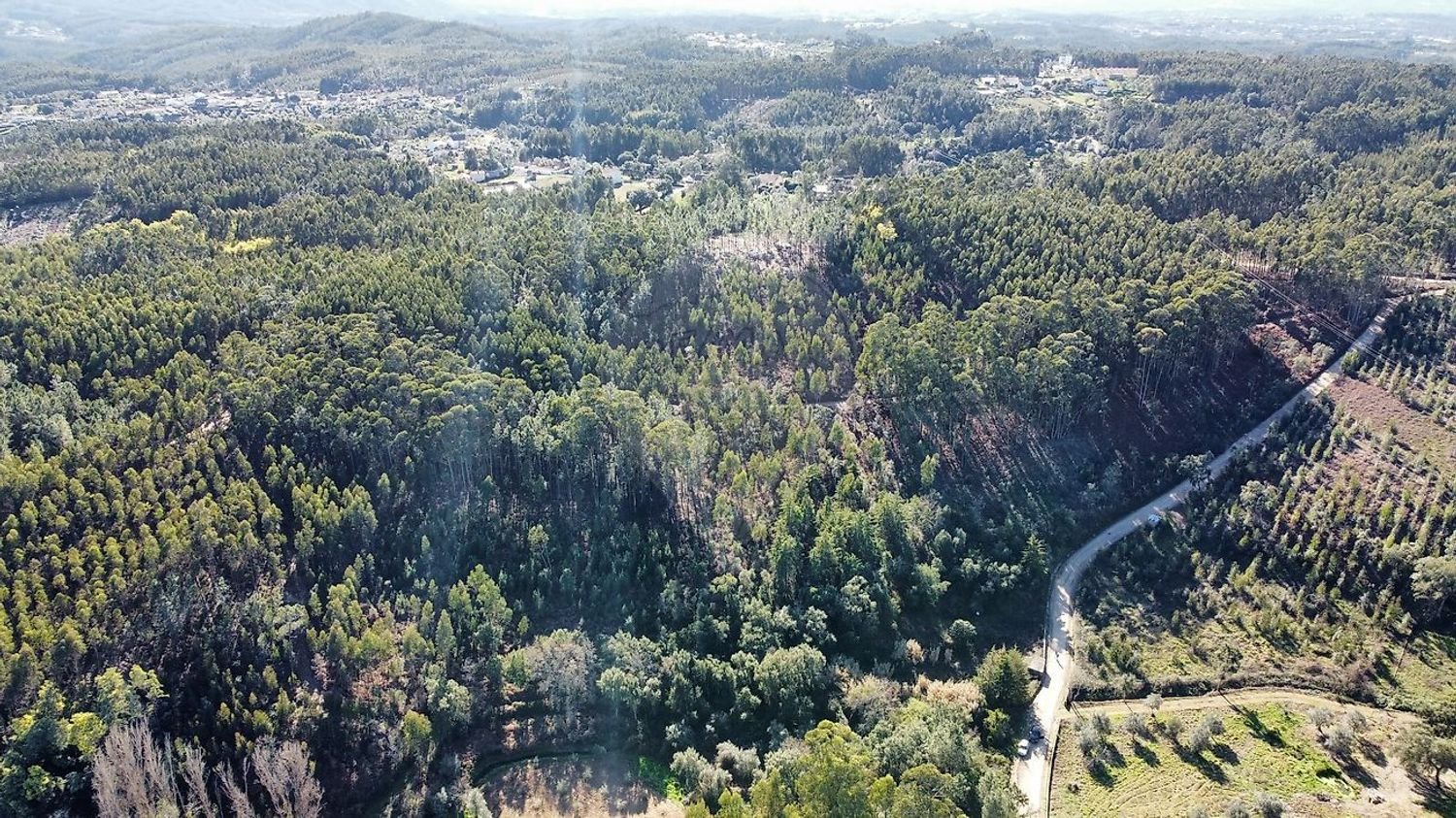 Terreno en Igreja Nova do Sobral, Portugal 9520 m² No. 69039