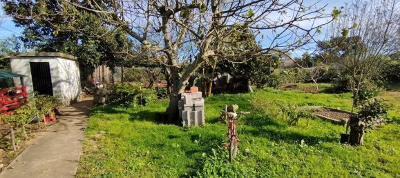 5 غرف نوم فيلا في Aradas, Portugal رقم 106587 30