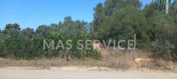 2305m² Land in Nettuno, Italy No. 350409 11