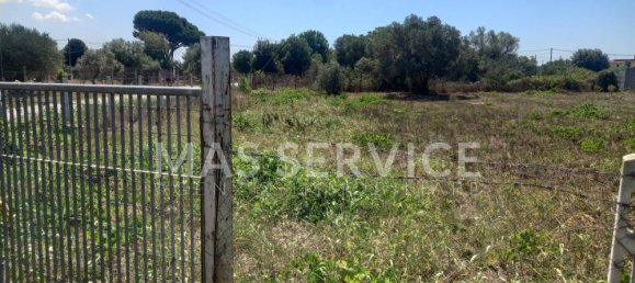 2305m² Land in Nettuno, Italy No. 350409 5