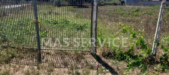 2305m² Land in Nettuno, Italy No. 350409 4