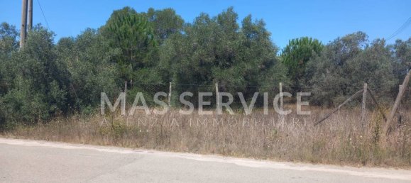 2305m² Land in Nettuno, Italy No. 350409 12