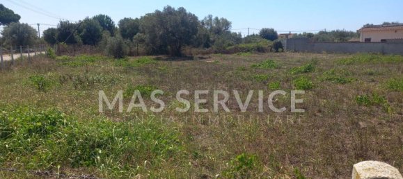 2305m² Land in Nettuno, Italy No. 350409 3