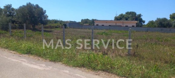 2305m² Land in Nettuno, Italy No. 350409 7
