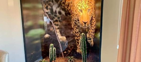 Villa 4+1 in Kargicak, Turkey No. 14638 2