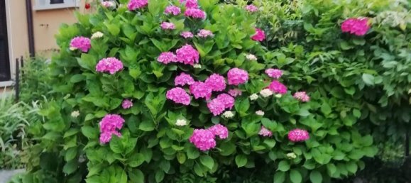 2-Zimmer Wohnung in San Giovanni Bianco, Italy, Nr. 115618 30