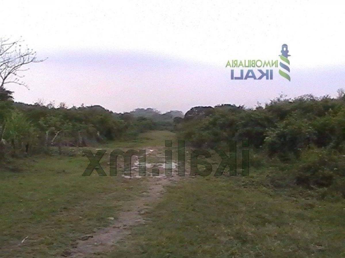 Земельный участок в Веракрус, Мексика № 206382