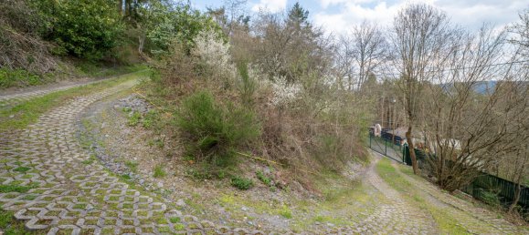 1 غرف نوم منزل في Trier-Saarburg, Germany رقم 167496 35