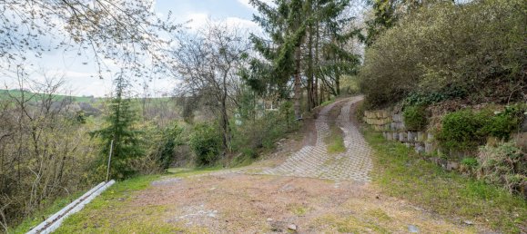 1 غرف نوم منزل في Trier-Saarburg, Germany رقم 167496 34