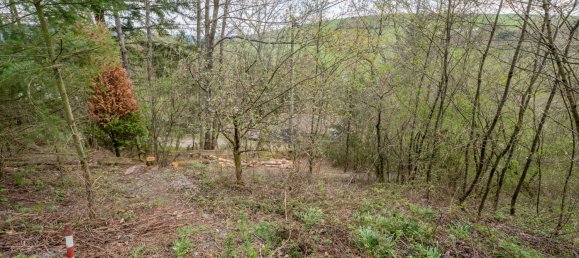 1 غرف نوم منزل في Trier-Saarburg, Germany رقم 167496 36