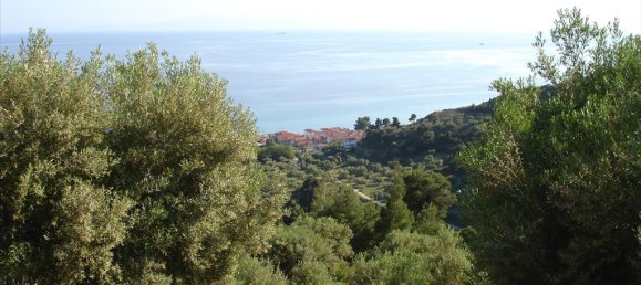 4465m² Hotel in Chalkidiki, Greece No. 71470 6