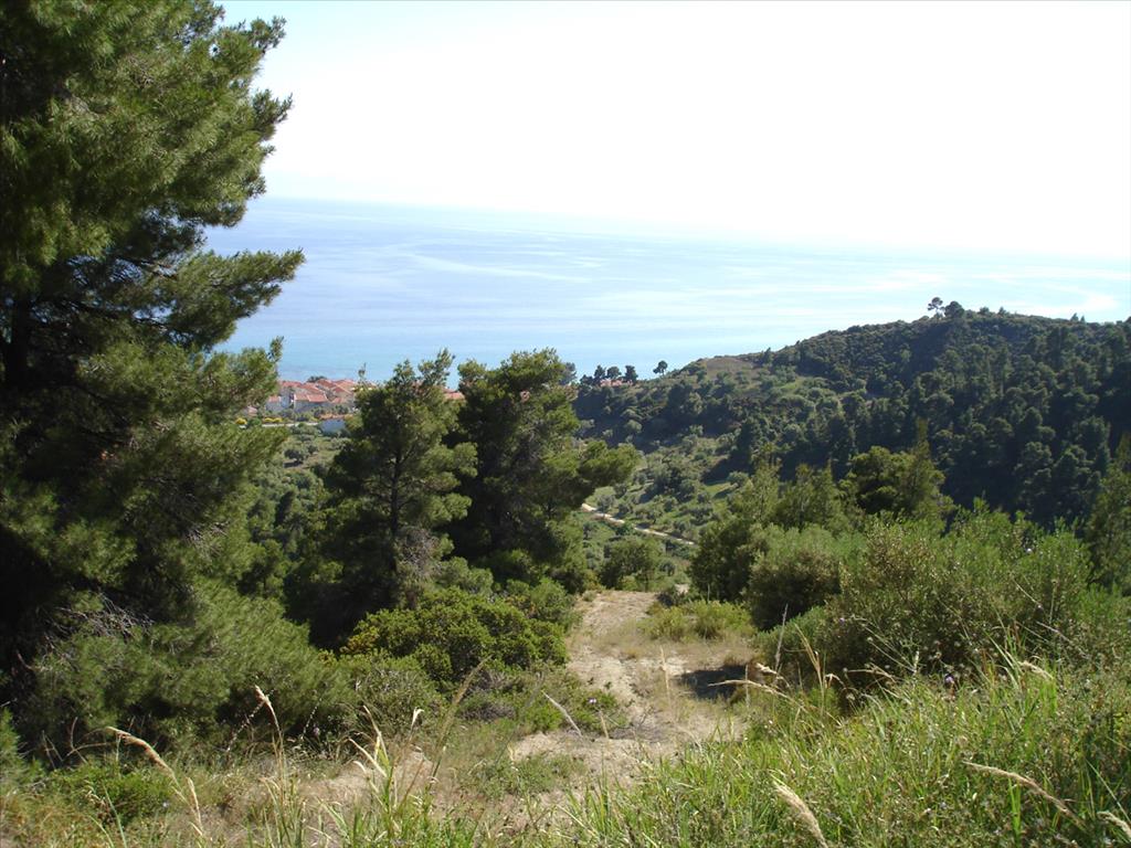 4465m² Hotel in Chalkidiki, Greece No. 71470