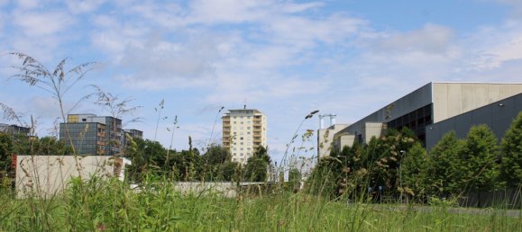 Land in Liebenau, Austria No. 131655 6